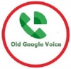 Buy Google Voice Avatar